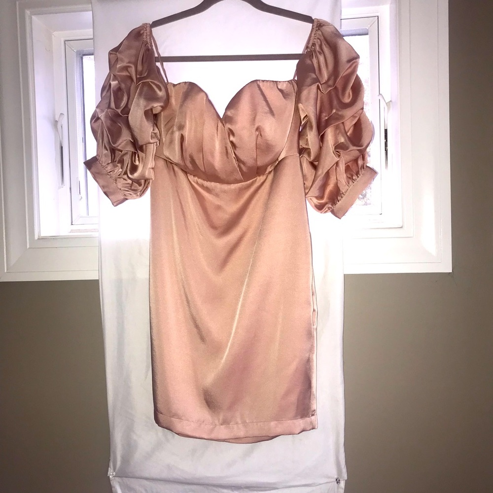 Beautiful “Endless Rose” mini dress worn once